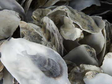 Oesterschelpen 5 kg