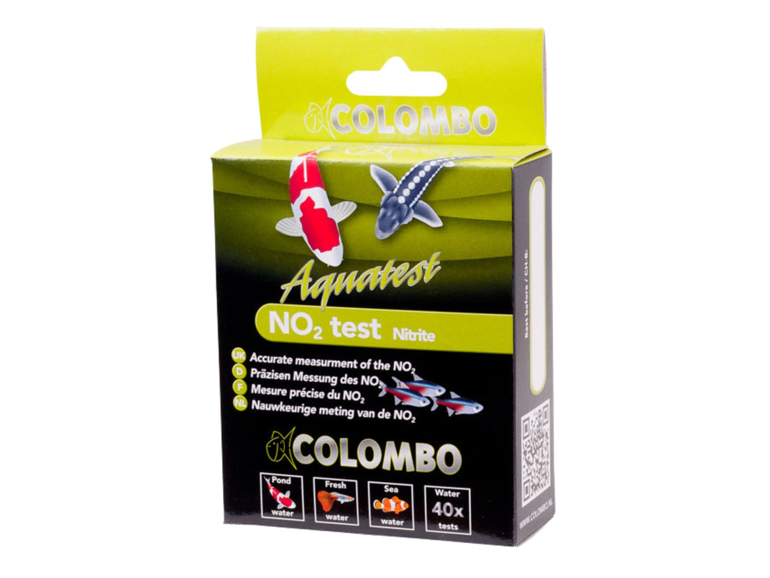 Colombo No2 Test