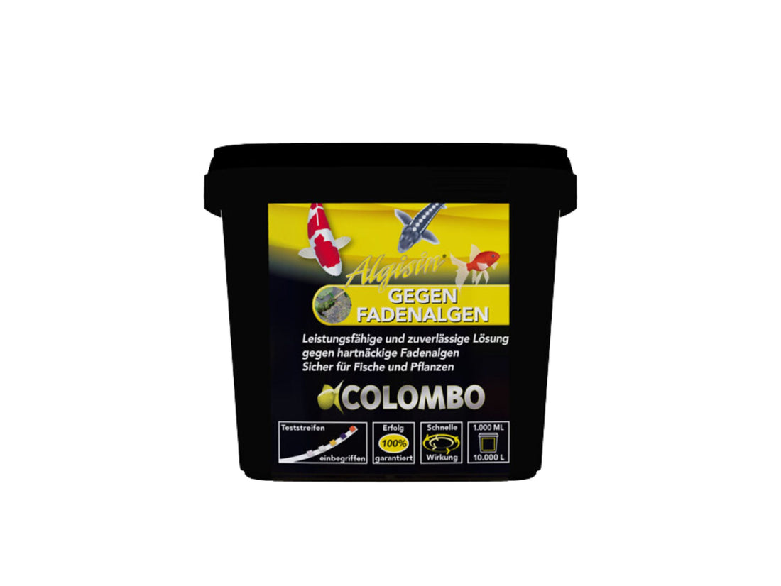 Colombo Algisin