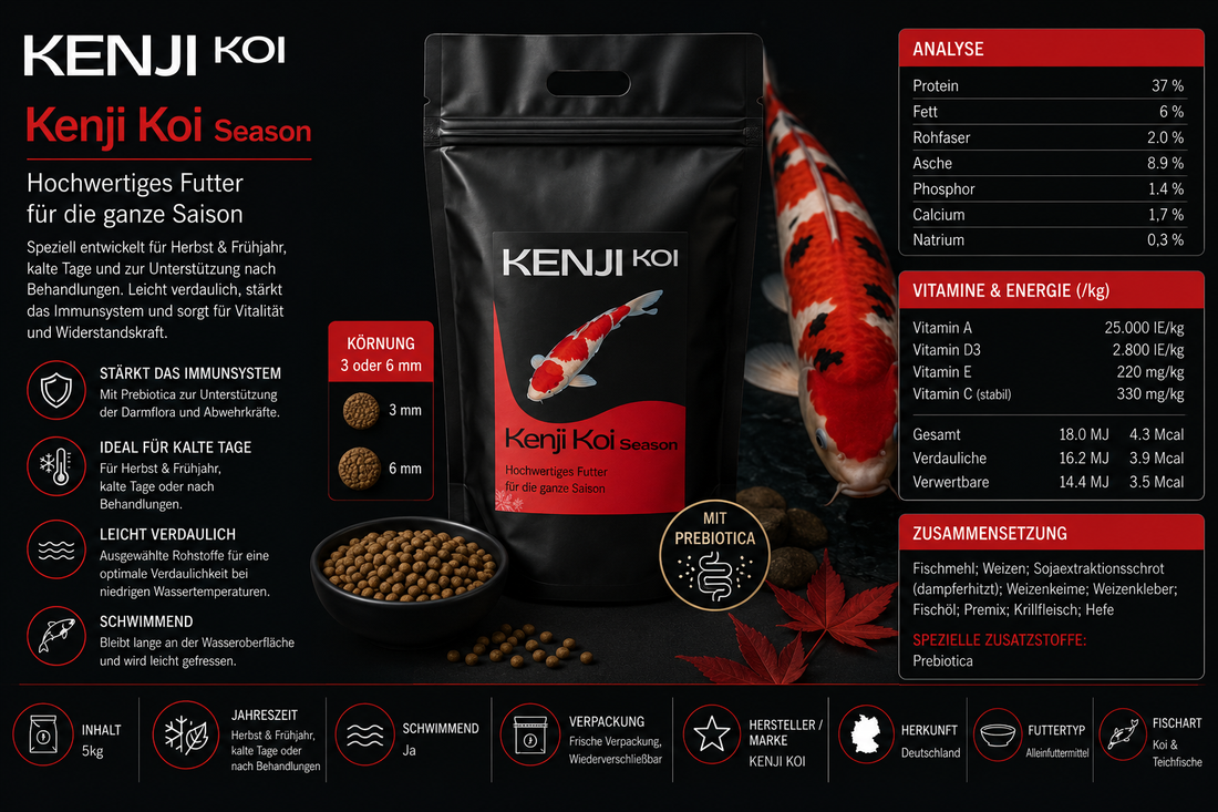 KENJI KOI Seizoen 5kg