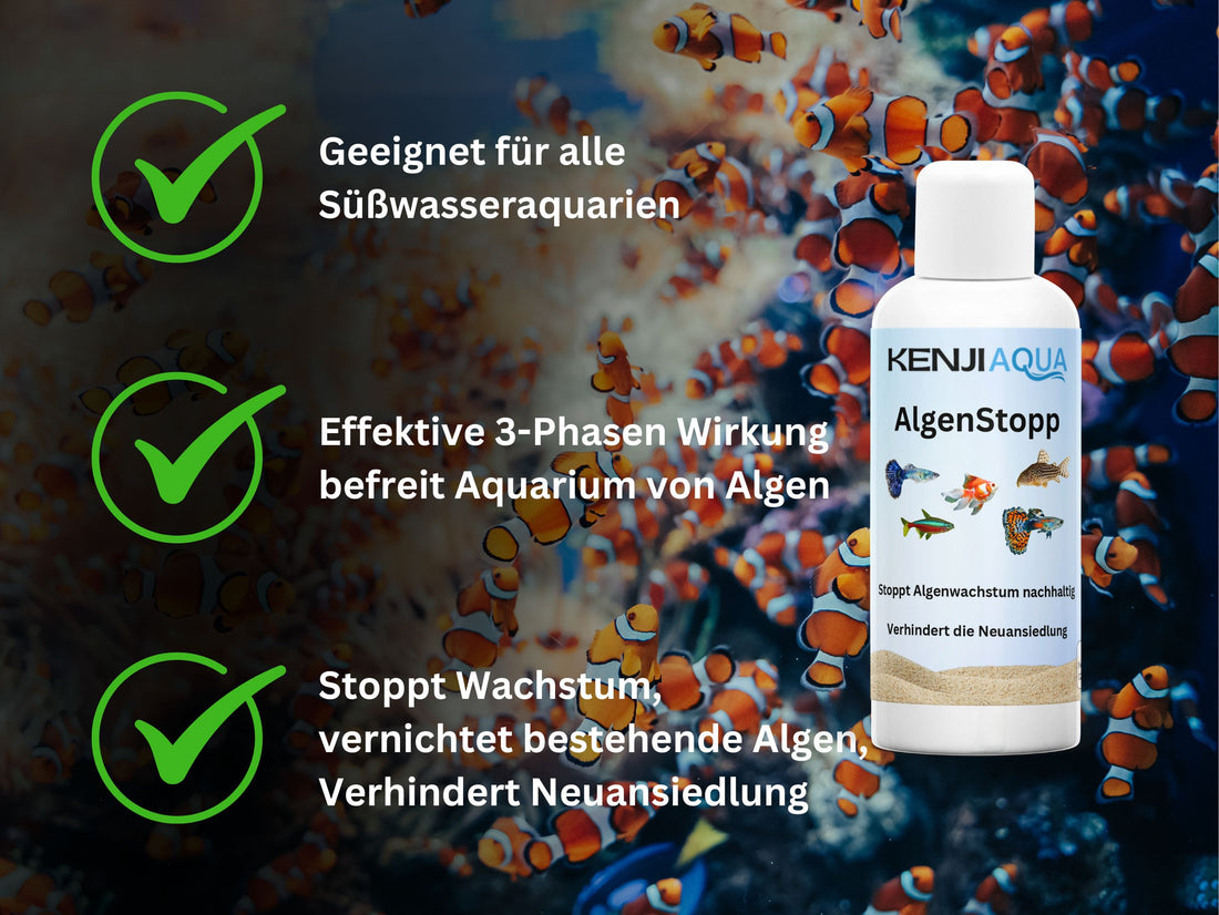 KENJI AQUA AlgenStop