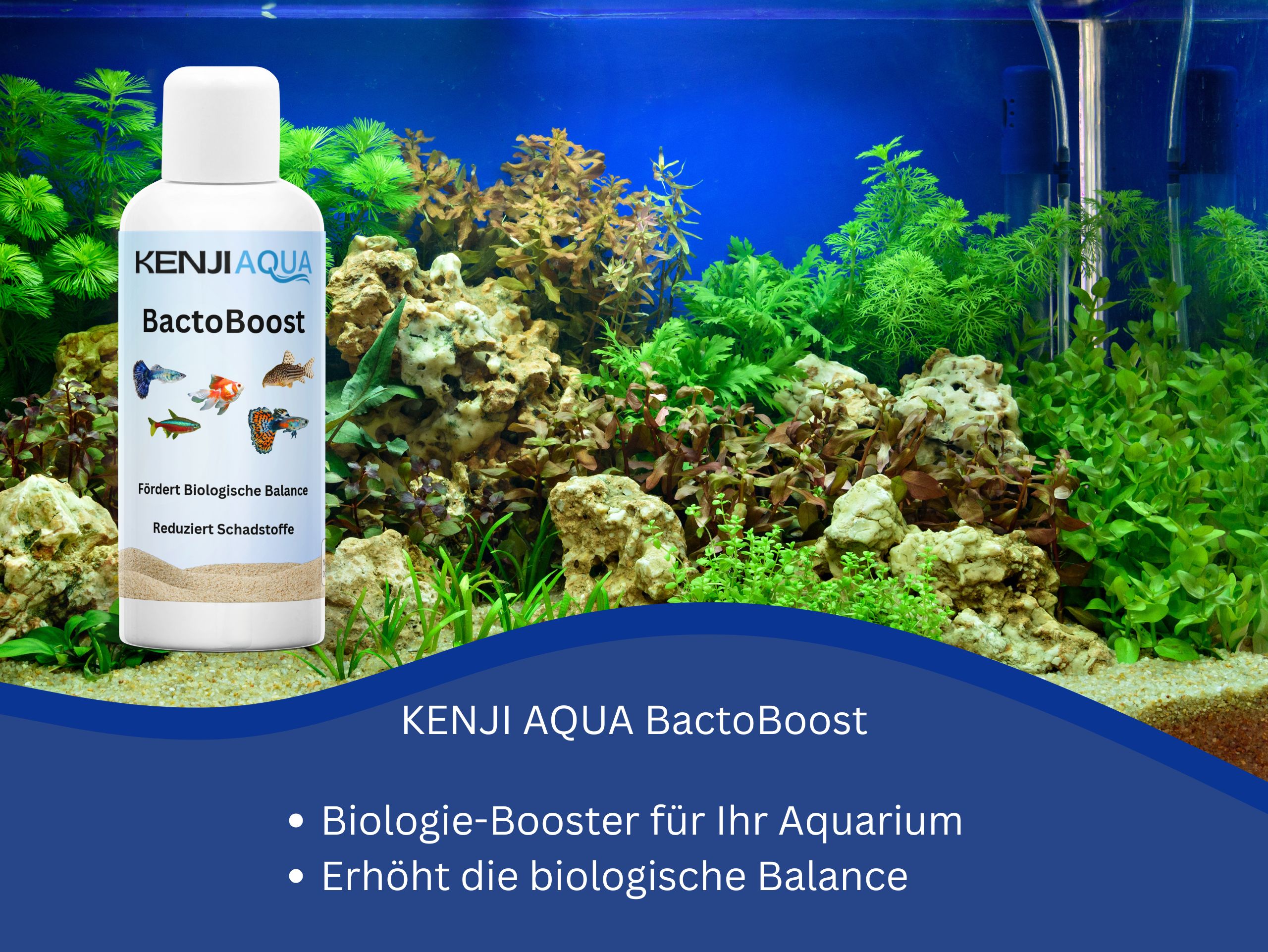 KENJI AQUA BactoBoost