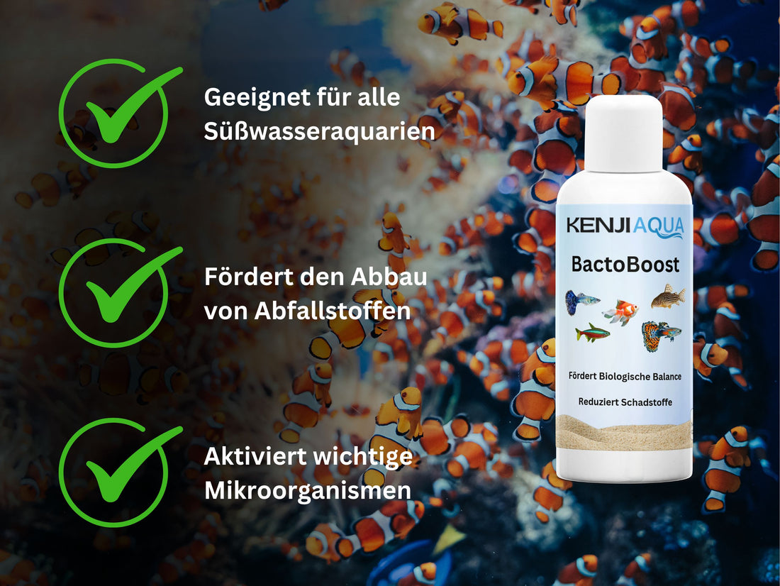 KENJI AQUA BactoBoost