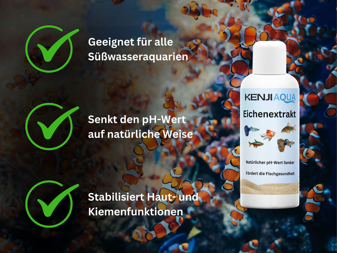 KENJI AQUA Eikenextract