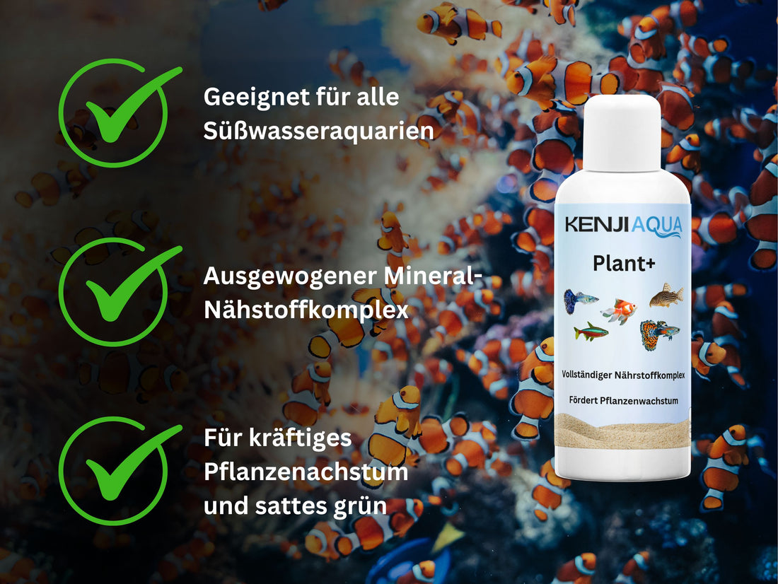 KENJI AQUA Plant+