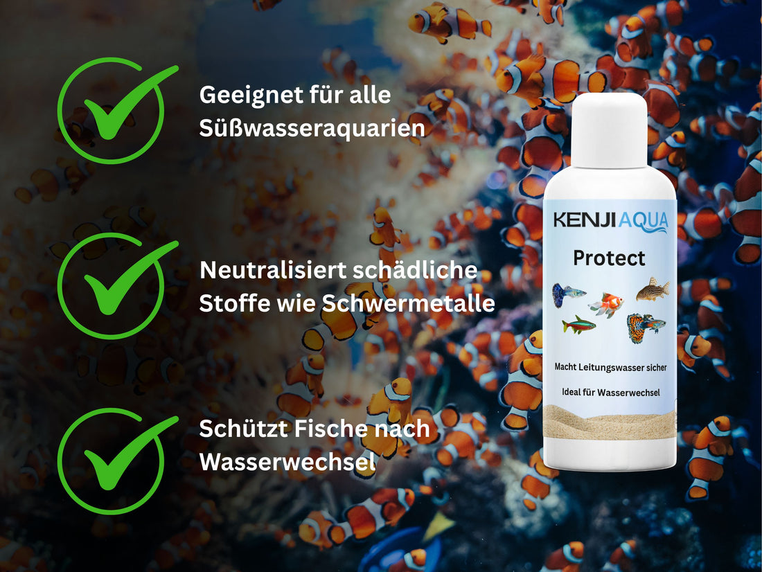 KENJI AQUA Protect