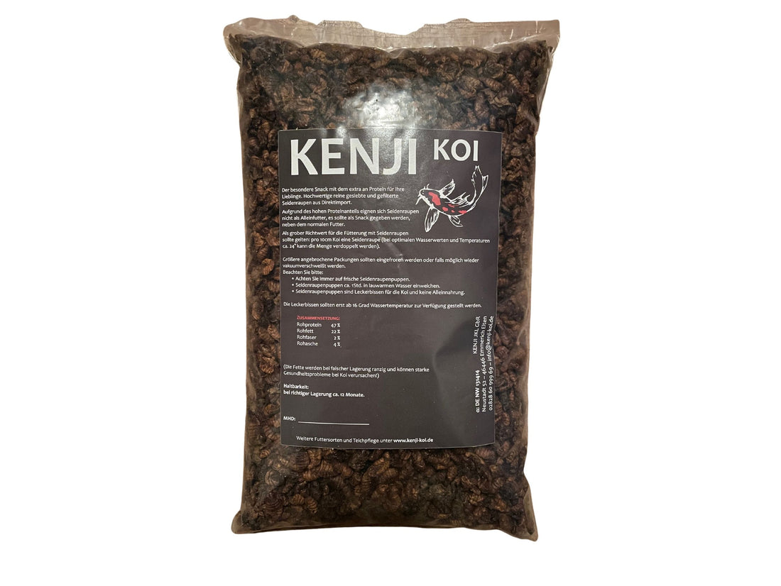 KENJI KOI Snack - Zijderupsen