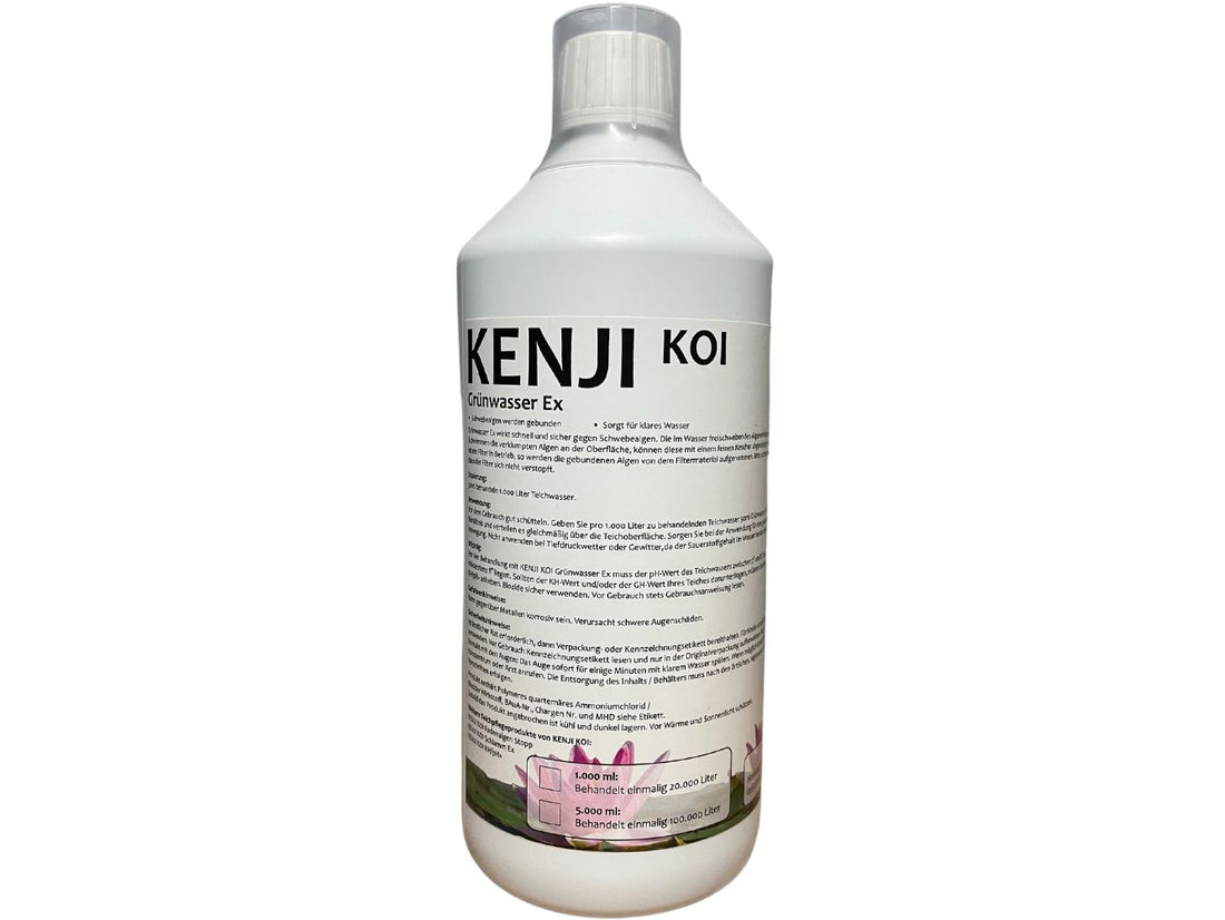 KENJI KOI Groenwater Ex
