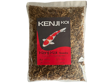 KENJI KOI Snack - Meelwormen