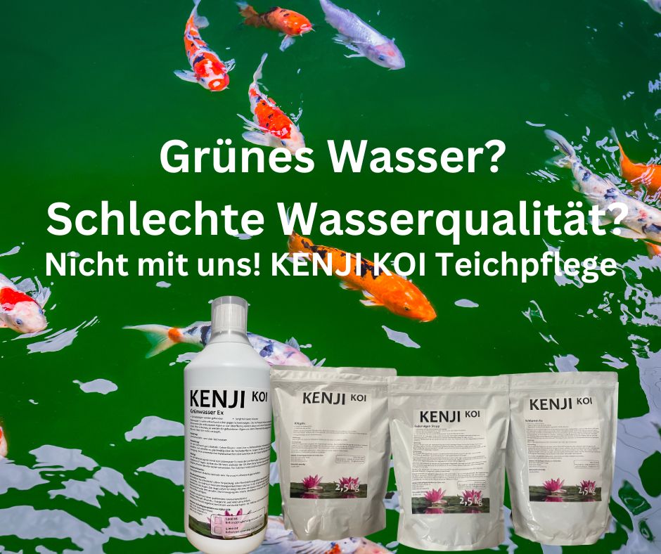 KENJI KOI Modder Ex 2,5 kg