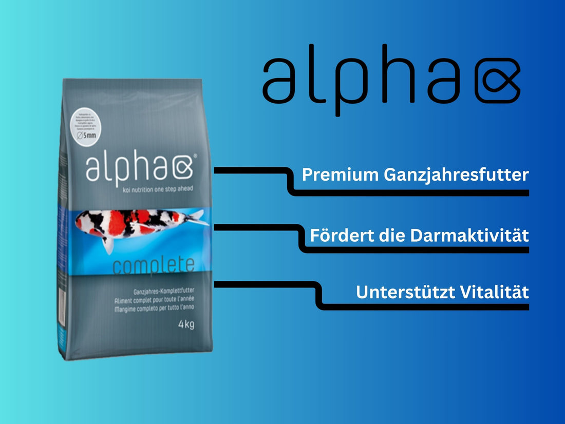 alpha Koivoer Premiumvoer-Pakket 5kg